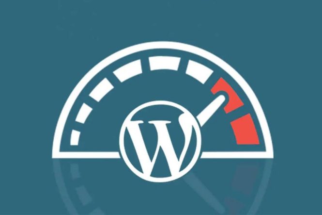 Wordpress Site Hızlandırma Eklentisi Nedir?