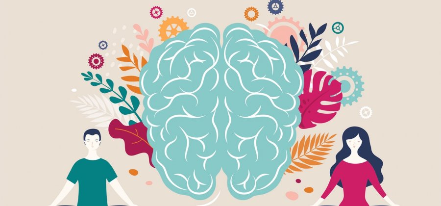 Davranış Psikolojisi